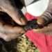Death of girl sparks global appeal to criminalize FGM in Sierra Leone