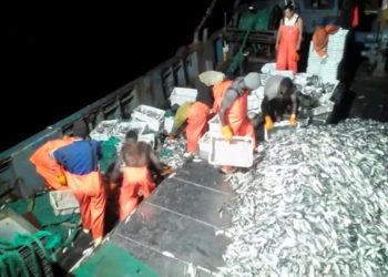 Sierra Leone: Local fishermen protest poor working condition aboard Chinese trawlers
