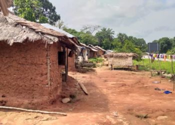 Sierra Leone: 20years after civil war, village appeals for help to rebuild destroyed houses