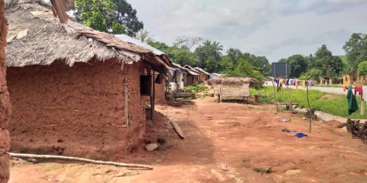 Sierra Leone: 20years after civil war, village appeals for help to rebuild destroyed houses
