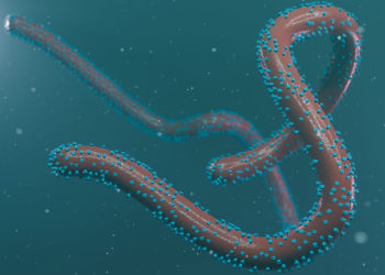 Suspected Marburg Virus in Ghana – WHO