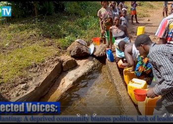 Neglected Voices – Tree Planting: A deprived community blames politics, lack of leadership