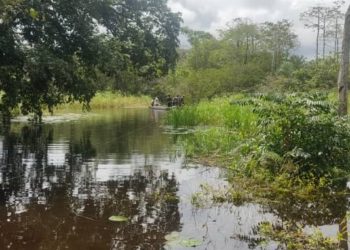 Sierra Leone: Two killed after “overloaded” boat capsizes