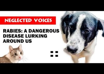 Rabies: A dangerous disease lurking around us