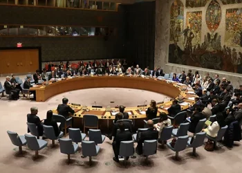 A session of the UNSC. Photo credit, Reuters