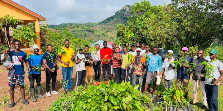 Staff and students of Koinadugu College, including its founder and Principal, Dr Alhaji Umar Njai, pose with community volunteers after a tree planting exercise within the college campus in Kabala, district headquarters of Koinadugu, on Saturday, June 16, 2024. Photo credit, Patricia Conteh, Koinadugu College.