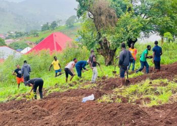 Students of Koinadugu College work at the institution's campus in Kabala as part of their Green Yard initiative. Photo, Koinadugu College