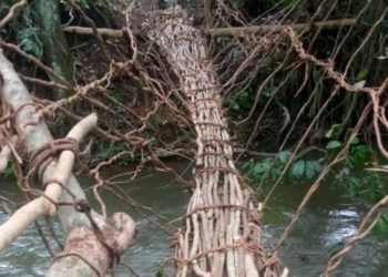 Makeshift bridge built by residents of Kakuthuhu in Kinadugu District, after their bridge was washed away following heavy rain. Image, Ibrahim Sorie Koroma, resident of Kakuthuhu