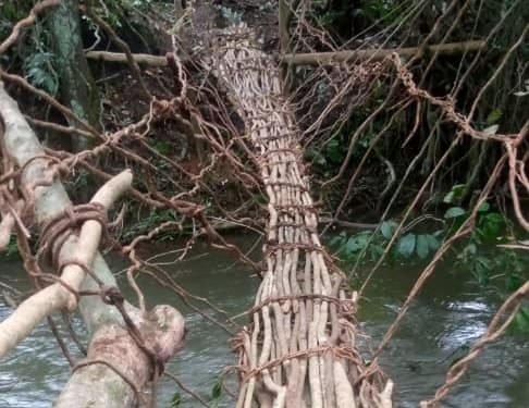 Makeshift bridge built by residents of Kakuthuhu in Kinadugu District, after their bridge was washed away following heavy rain. Image, Ibrahim Sorie Koroma, resident of Kakuthuhu