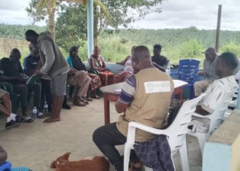 Community stakeholders in Male Chiefdom, Pujehun District, take part in a discussion on land ownership on Thursday, October 24, 2024. Image, Brima Sannoh, ManoReporters