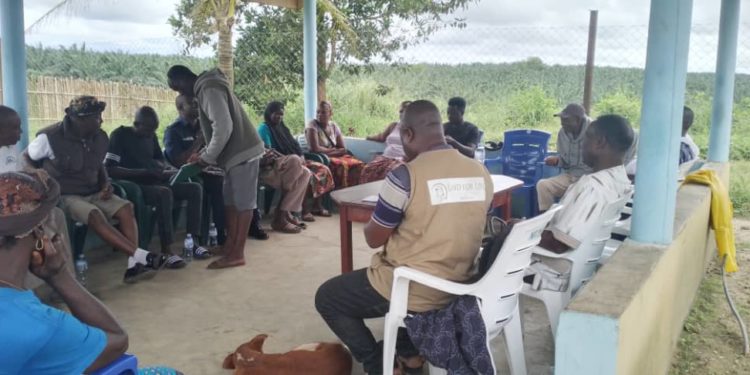 Community stakeholders in Male Chiefdom, Pujehun District, take part in a discussion on land ownership on Thursday, October 24, 2024. Image, Brima Sannoh, ManoReporters