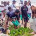 Volunteers sort out plastic from trash alone Lumley Beach on Saturday, 26th October, 2024. Image, EU Delegation to Sierra Leone