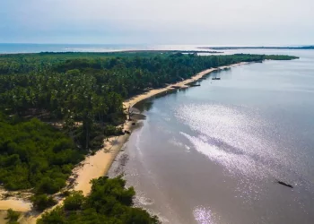 A panoramic view of Sherbro Island. Image, Sherbro Alliance Partners.