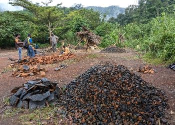 Illegal stone miners in the heart of the Kamboi Hills. Environmental degradation remains an urgent issue for Sierra Leone, particularly in the Kambui Hills, Western Area Peninsular National Park and other critical landscapes in Sierra Leone. Image, SLAJ Secretariat.
