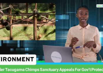 Founder of Tacugama Chimps Sanctuary appeals for gov’t protection