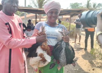 Two farmers display their birds after receiving them on January 23, 2025. Image, Brima Sannoh, ManoReporters.
