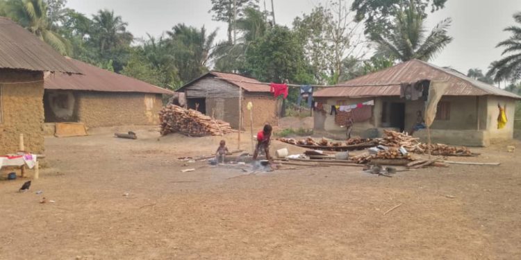 Image, Brima Sannoh, ManoReporters.