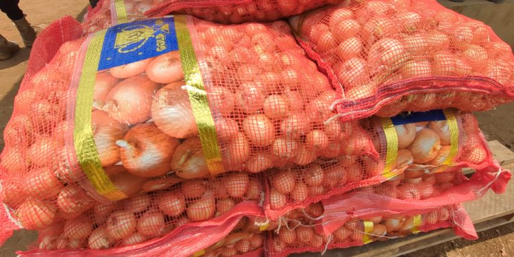 Pee Cee Holding signs landmark investment deal with IFC to boost onion production in Sierra Leone