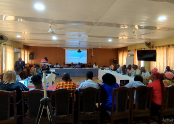Panoramic view of Roundtable on domestic resource mobilization for healthcare funding in Sierra Leone. Image, Kemo Cham, ManoReporters