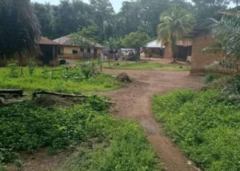 A view of Falaba Village, Barri Chiefdom, Pujehun District. Photo by Brima Sannoh, ManoReporters, April 25th, 2025.