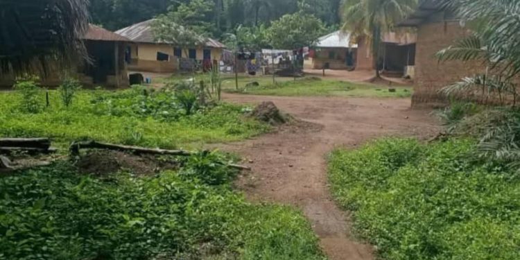 A view of Falaba Village, Barri Chiefdom, Pujehun District. Photo by Brima Sannoh, ManoReporters, April 25th, 2025.