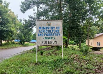 A view of the Ministry of Agriculture and Food Security in Pujehun on the 23nd June, 2025. Image: Brima Sannoh, ManoReporters.
