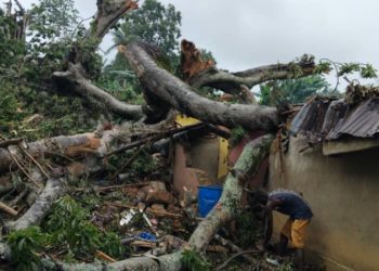 A house destroyed by heavy rain in Lungi, Northern Sierra Leone. Image, Tejan Macavoray