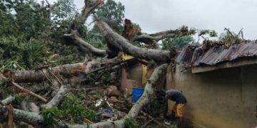 A house destroyed by heavy rain in Lungi, Northern Sierra Leone. Image, Tejan Makavore.