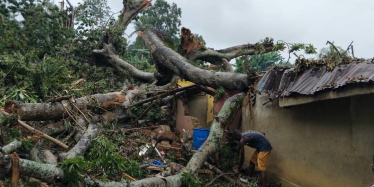 A house destroyed by heavy rain in Lungi, Northern Sierra Leone. Image, Tejan Macavoray