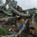 A house destroyed by heavy rain in Lungi, Northern Sierra Leone. Image, Tejan Macavoray