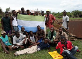 Youth in Mattru Jong participating in an African Youth Movement (AYM) funded agricultural activity. Image, AYM.