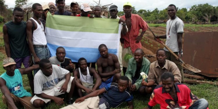Youth in Mattru Jong participating in an African Youth Movement (AYM) funded agricultural activity. Image, AYM.