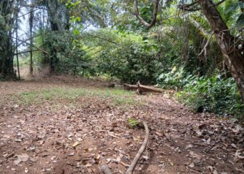 The disputed boundary between Sawula Village and Longo Village, both of which are located in Kanga Chiefdom, Pujehun District. Image, Brima Sannoh, ManoReporters.